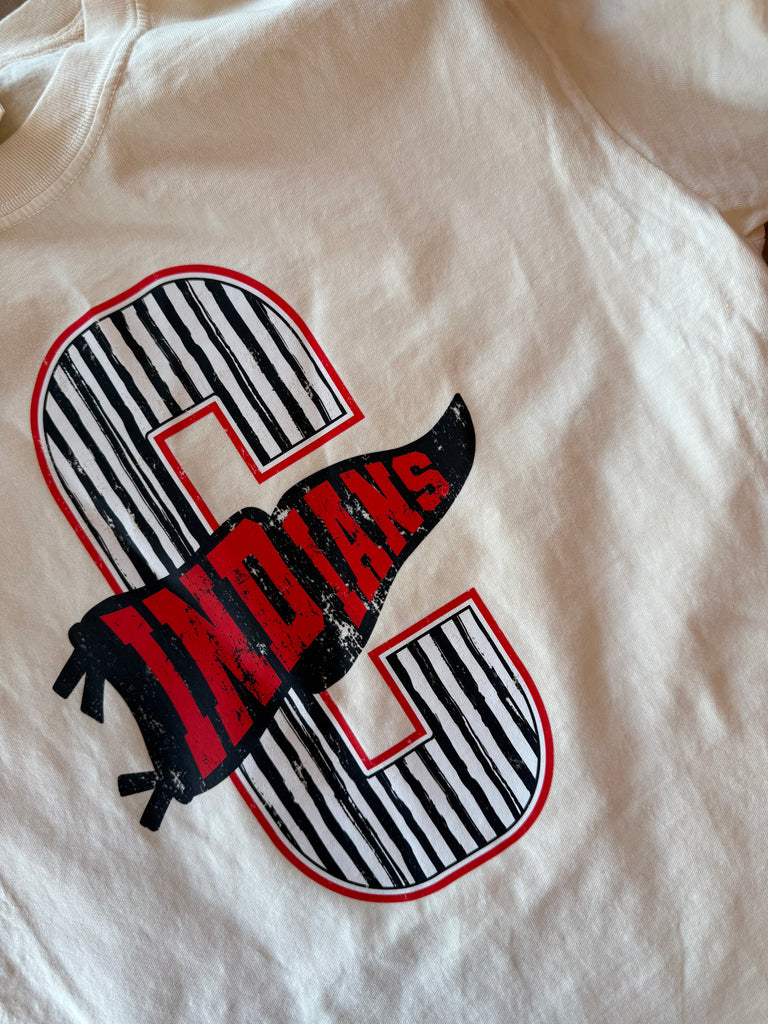 Big D Stripe Pennant Tee