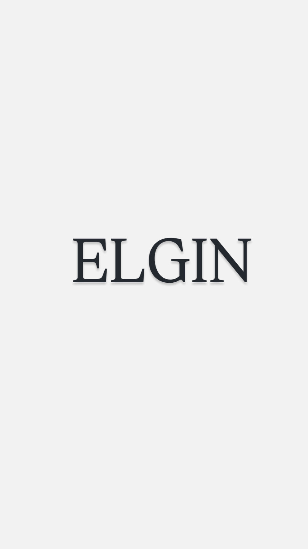 Big E Elgin Stripe Pennant Tee