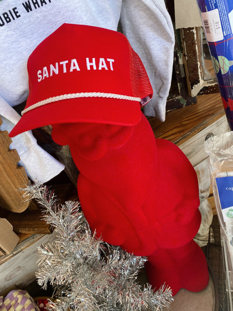 Santa Hat Trucker