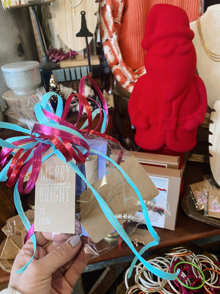 Hair Clip + Earring Gift Set